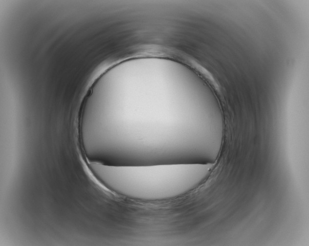 X0000115791479200911131016