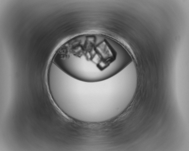 X0000115791480200911131016