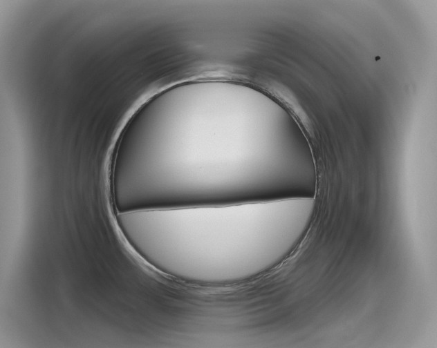 X0000115791483200911131016