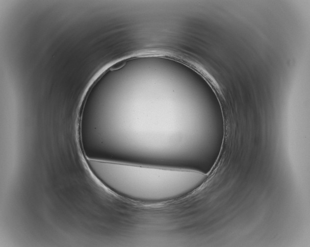X0000115791484200911131016