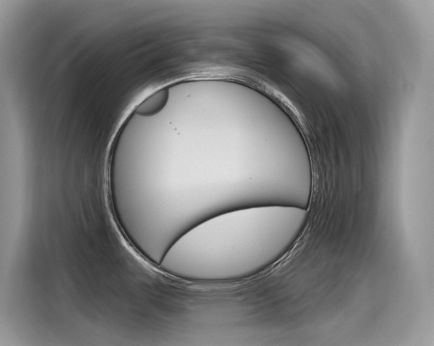 X0000115791487200911131016