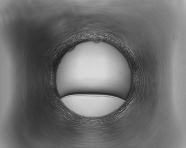 X0000115791490200911131016
