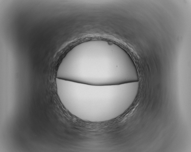 X0000115791494200911131016