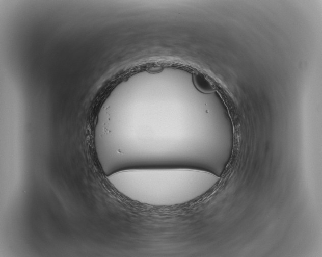 X0000115791495200911131016