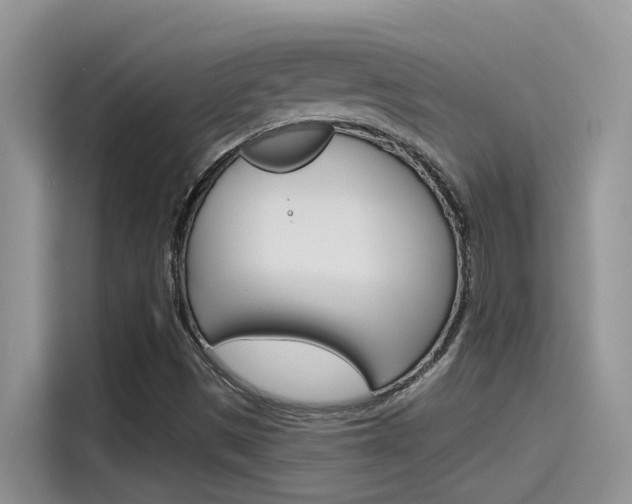 X0000115791497200911131016