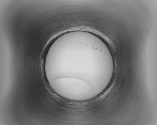 X0000115791498200911131016