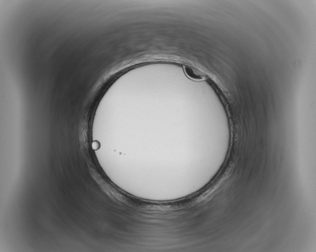X0000115791499200911131016
