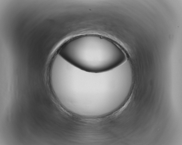 X0000115791502200911131016