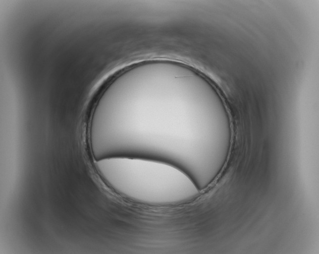 X0000115791503200911131016