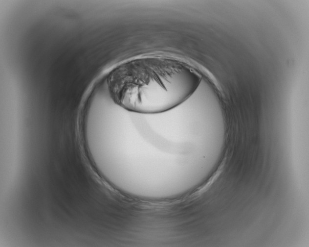 X0000115791506200911131016