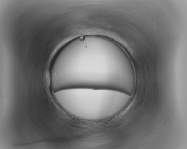 X0000115791509200911131016