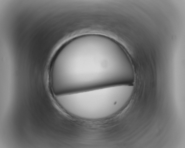 X0000115791511200911131016