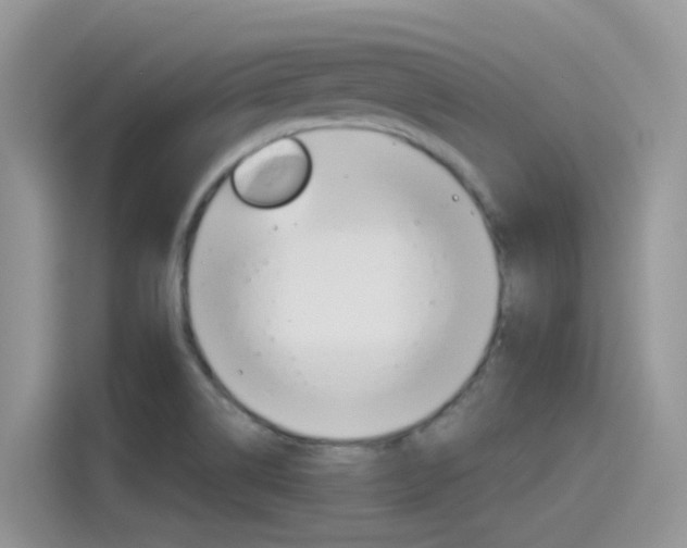 X0000115791514200911131016