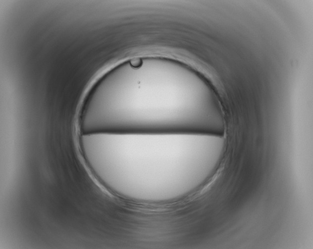 X0000115791517200911131016