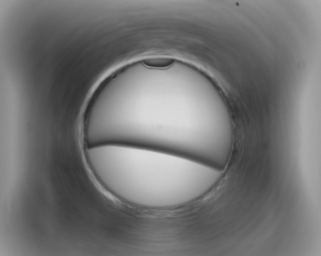 X0000115791519200911131016