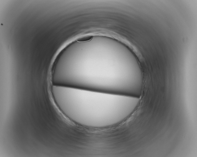 X0000115791522200911131016