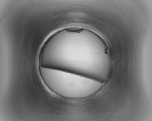 X0000115791523200911131016