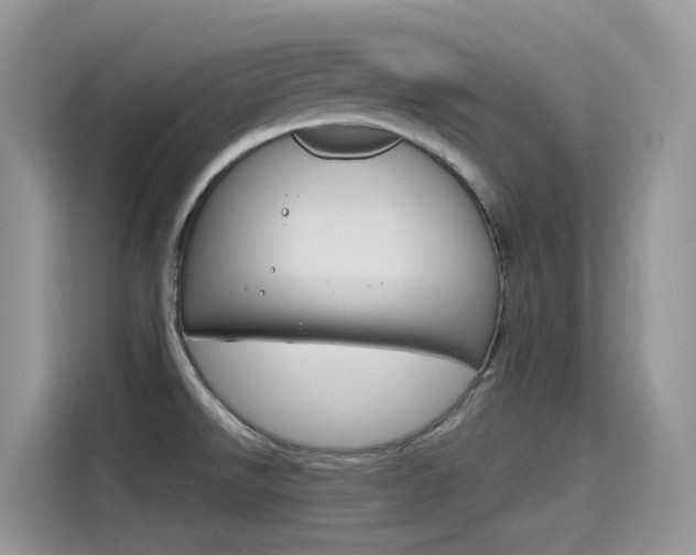 X0000115791526200911131016
