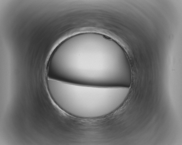 X0000115791527200911131016