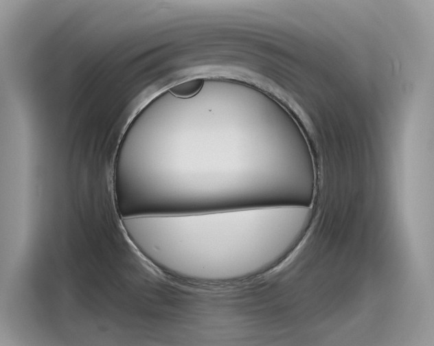 X0000115791529200911131016