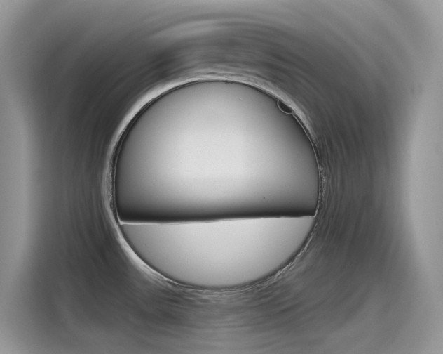 X0000115791531200911131016