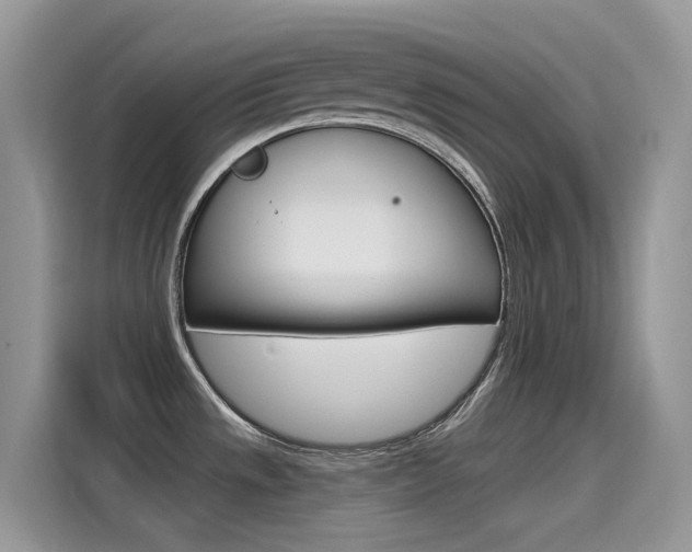 X0000115791533200911131016