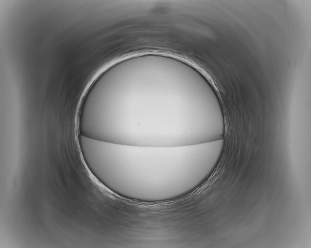 X0000115791535200911131016