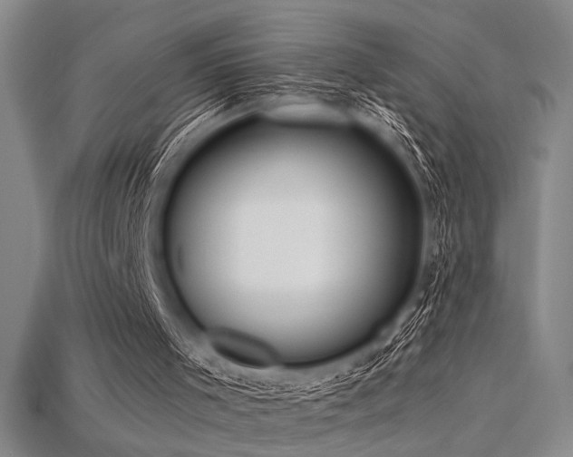 X0000115790001200911131318