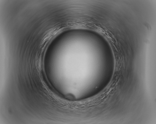 X0000115790002200911131318