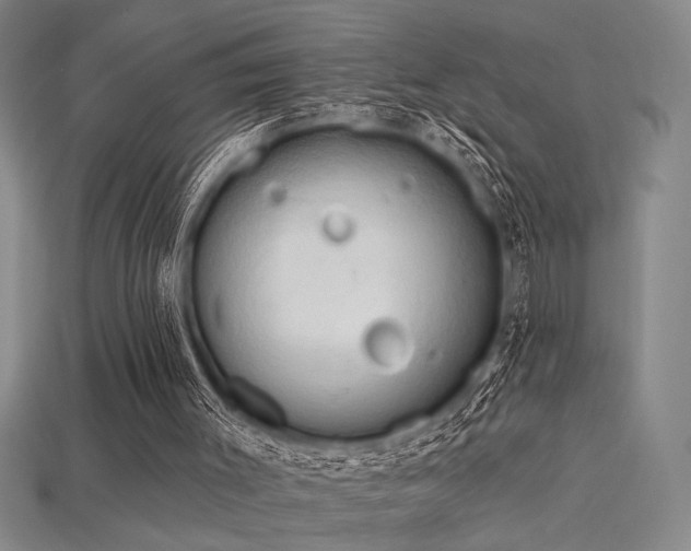 X0000115790003200911131318