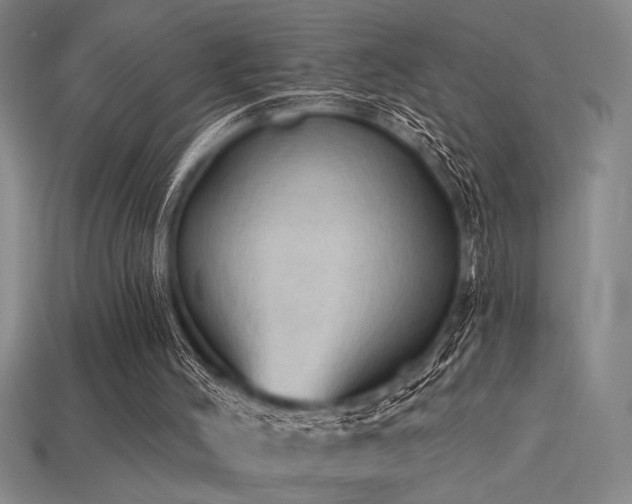 X0000115790004200911131318