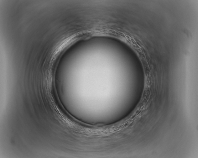 X0000115790005200911131318