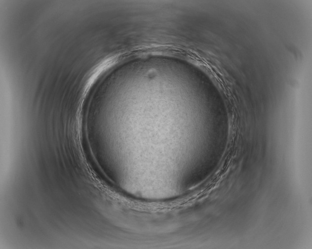 X0000115790006200911131318