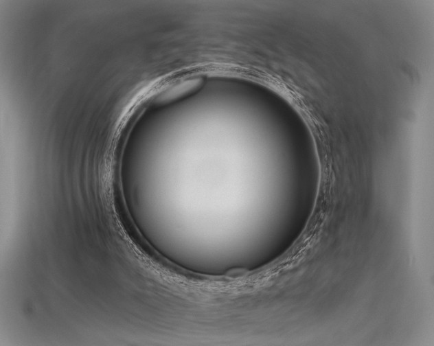 X0000115790007200911131318