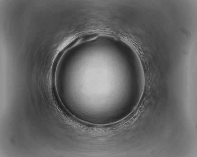 X0000115790008200911131318