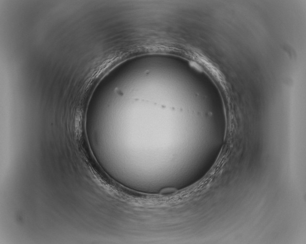 X0000115790009200911131318