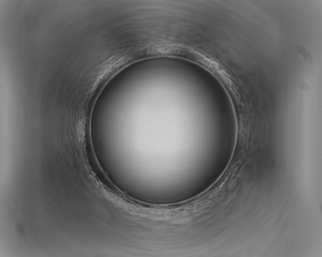 X0000115790010200911131318