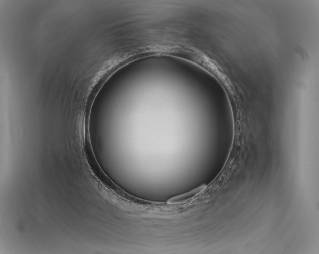 X0000115790011200911131318