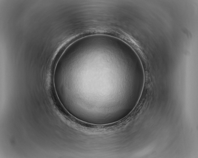 X0000115790012200911131318