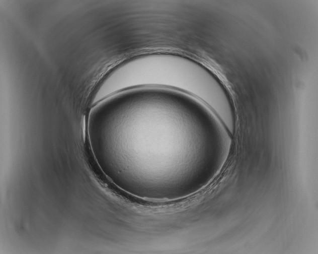 X0000115790013200911131318