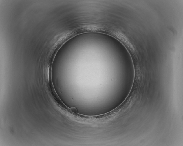 X0000115790014200911131318