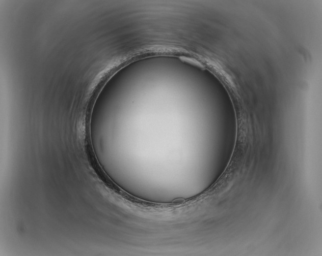 X0000115790015200911131318