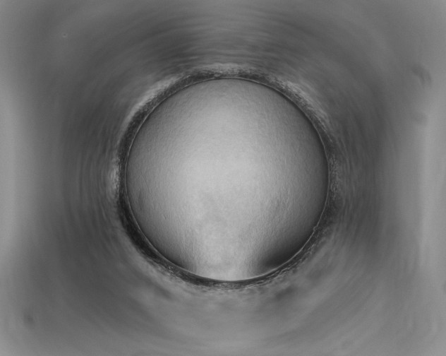 X0000115790016200911131318