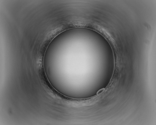 X0000115790017200911131317