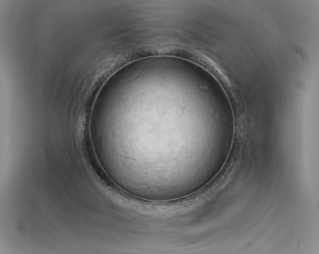 X0000115790018200911131317