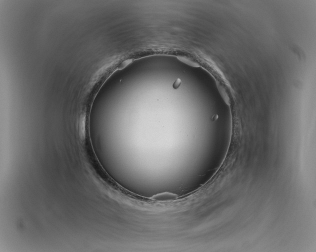 X0000115790019200911131317