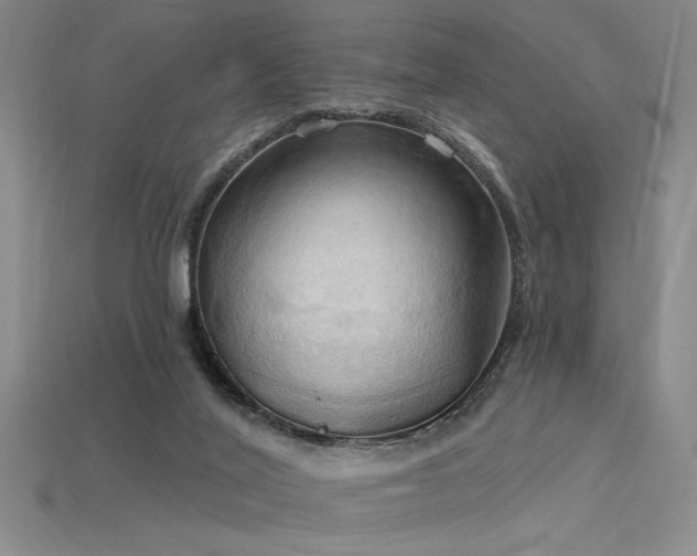 X0000115790020200911131317