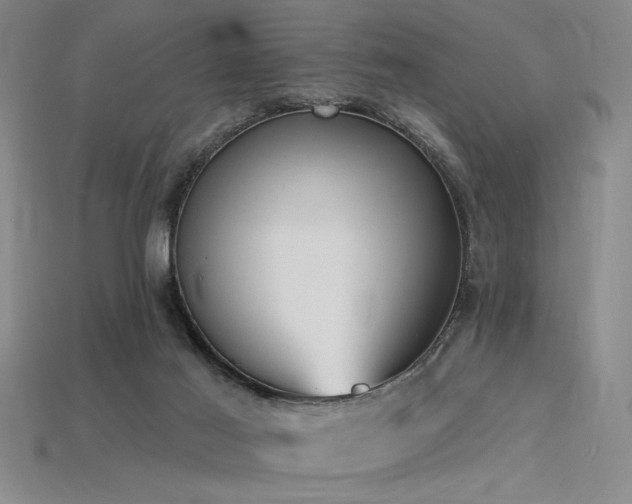 X0000115790021200911131317