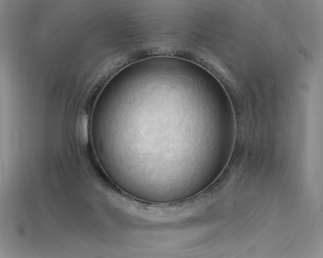 X0000115790022200911131317