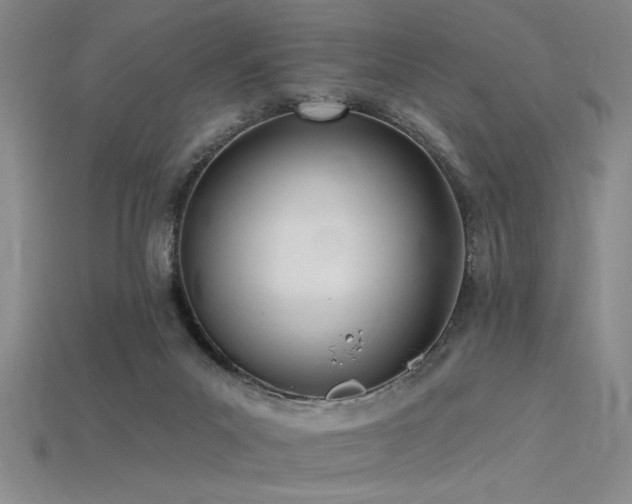 X0000115790023200911131317